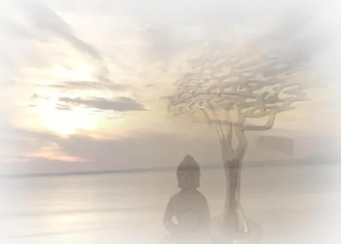 Apartment Noks First Line Seaview *